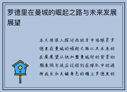 罗德里在曼城的崛起之路与未来发展展望